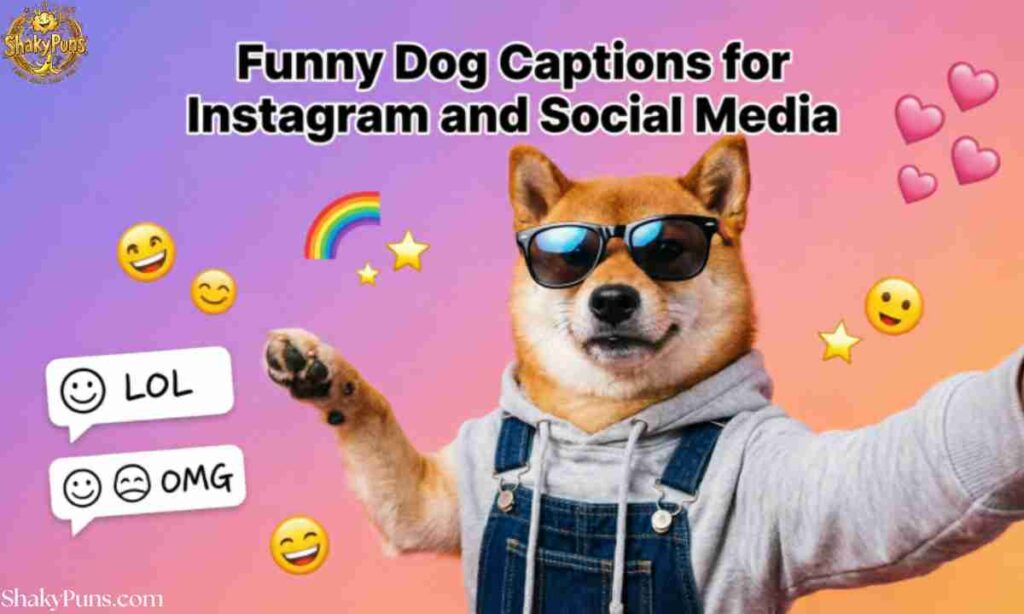 Funny Dog Captions for Instagram and Social Media
